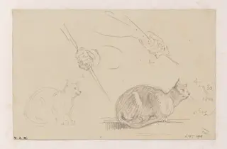 Studies of cats, and of a hand holding a pole, by George Chinnery, 20