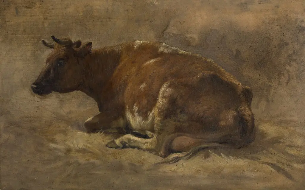 Cow, by André Plumot, unspecified, 1535