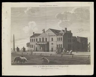 H Beard Print Collection, by Lodge, 30