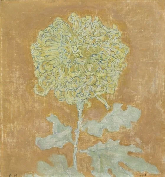 Chrysanthemum, detail