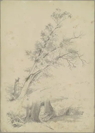 Trees, Hudson, by Andrew Fisher Bunner, graphite, 1866