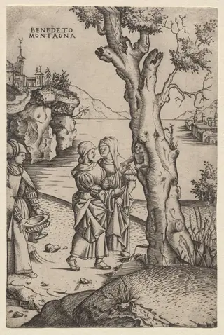 Birth of Adonis, by Benedetto Montagna, 1518