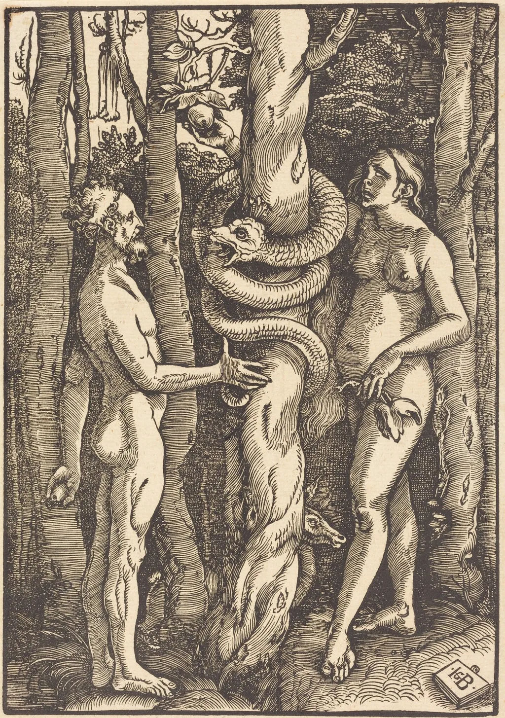Adam and Eve with Serpent, by Hans Baldung Grien, ink, 1514