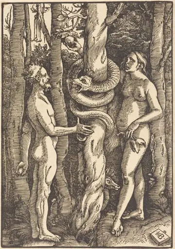 Adam and Eve with Serpent, by Hans Baldung Grien, ink, 1514