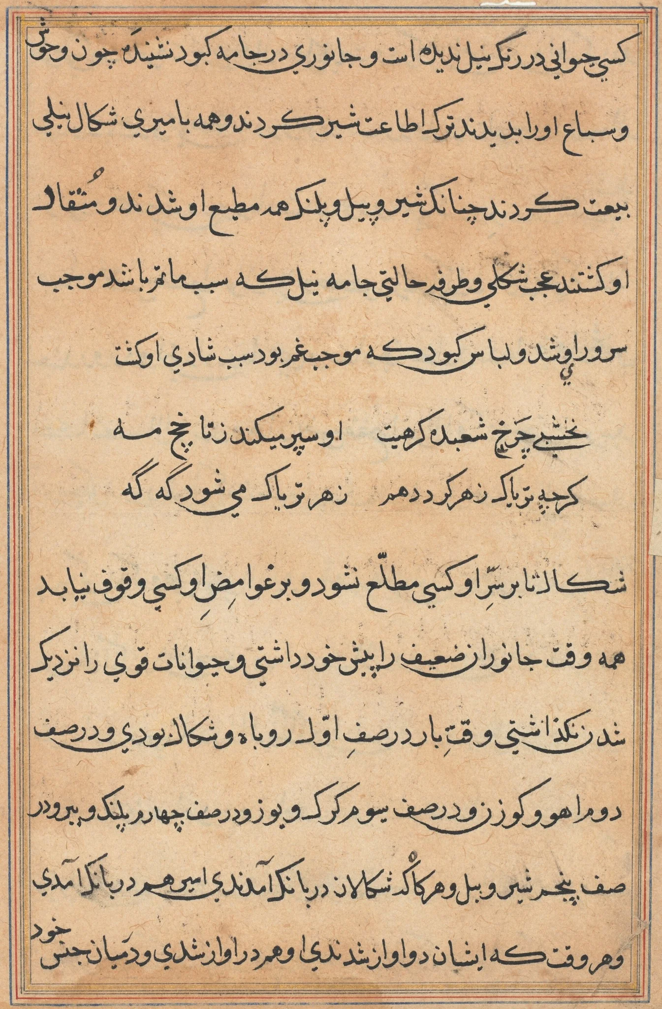 Page from Tales of a Parrot (Tuti-nama): text page, detail