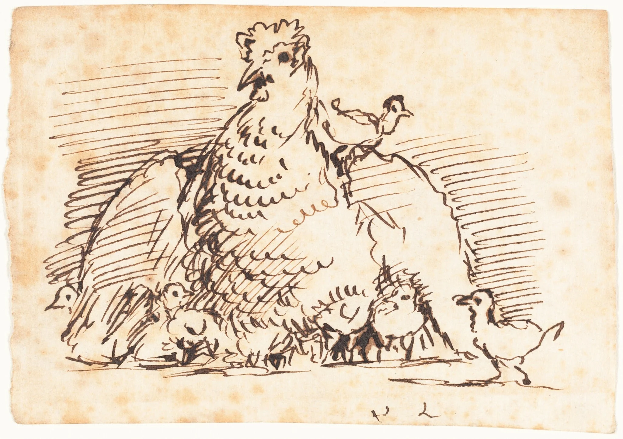 Hens and Chicks, detail