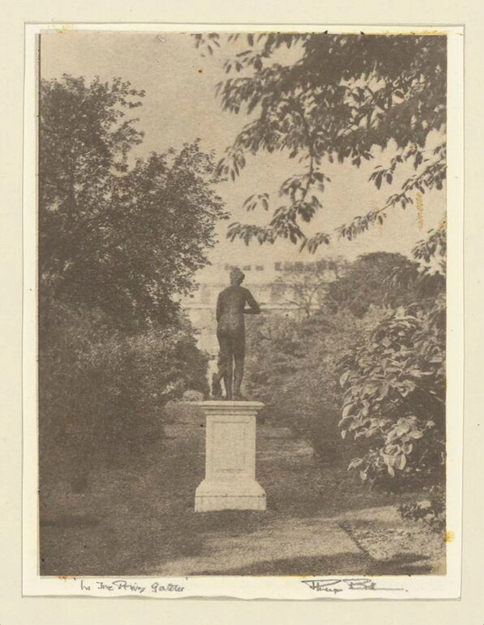 In the Privy Garden, detail
