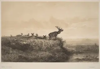 Le Matin, by Karl Bodmer, ink, 1851