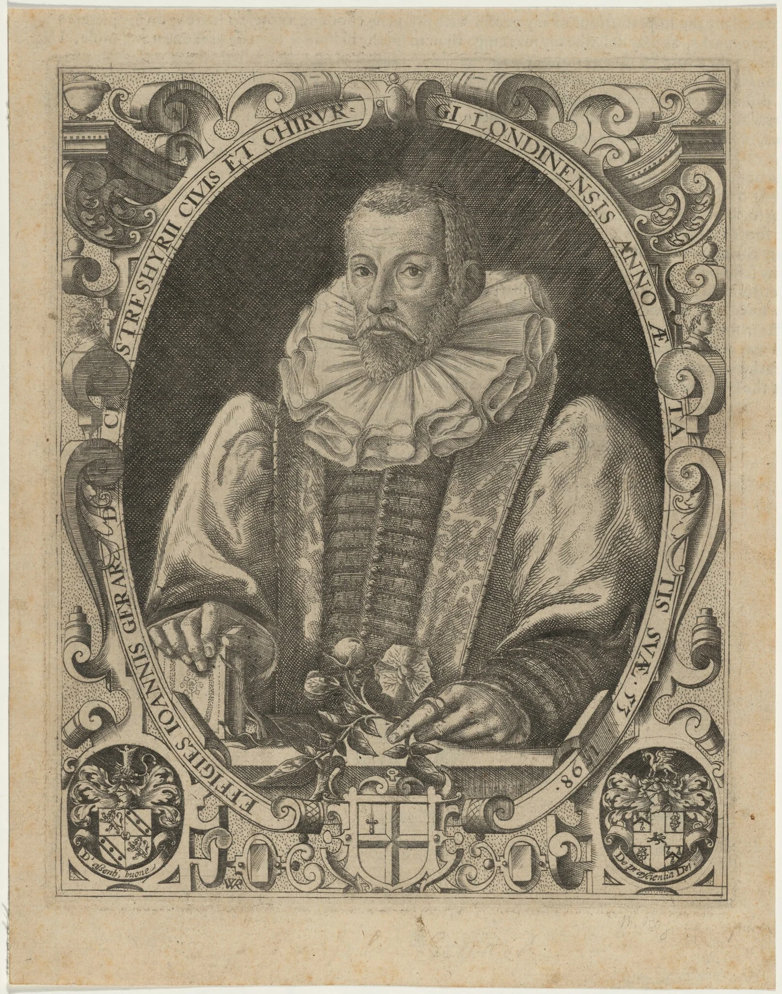 John Gerard, Herbalist, detail