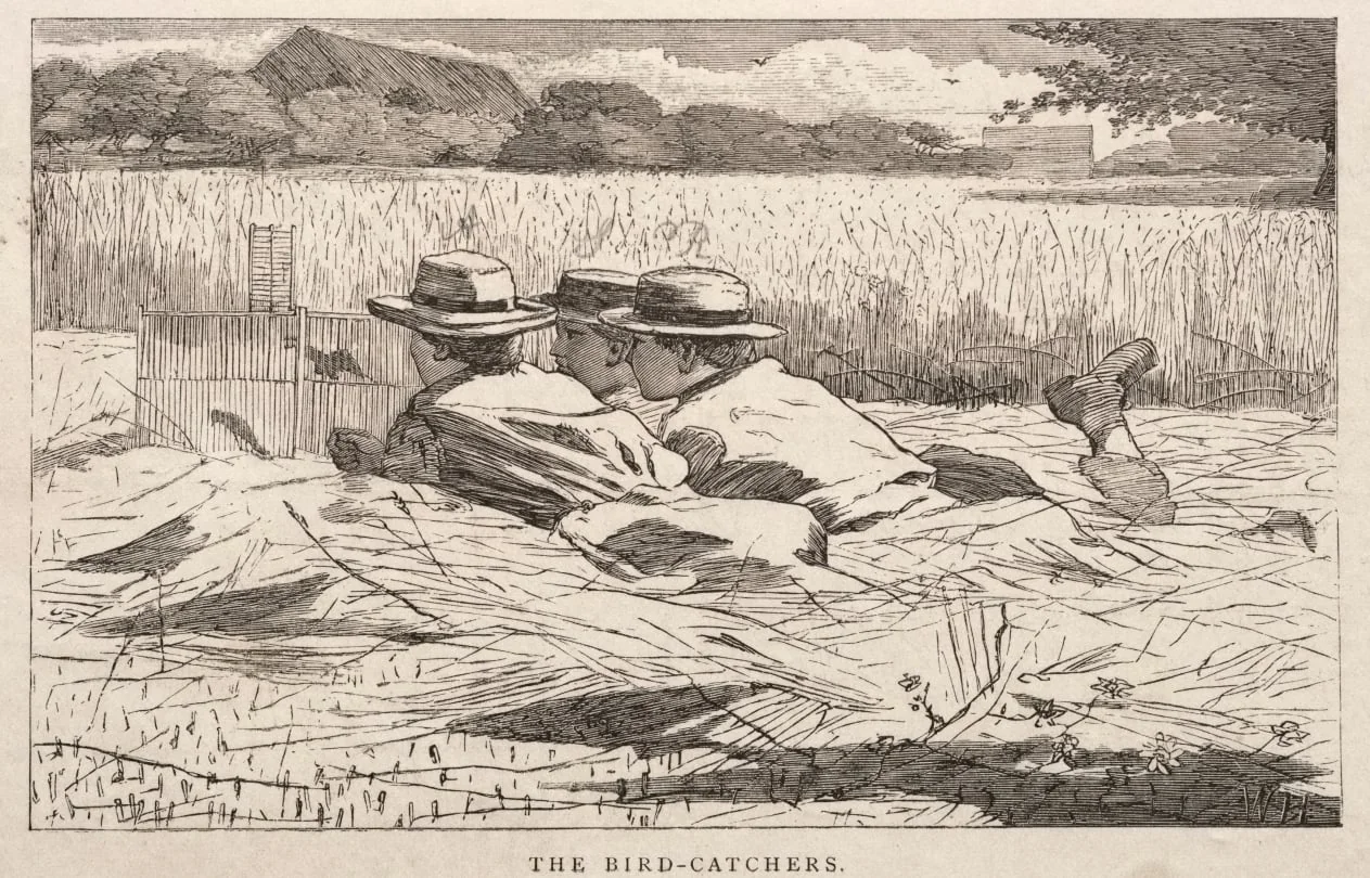 The Bird Catchers, detail