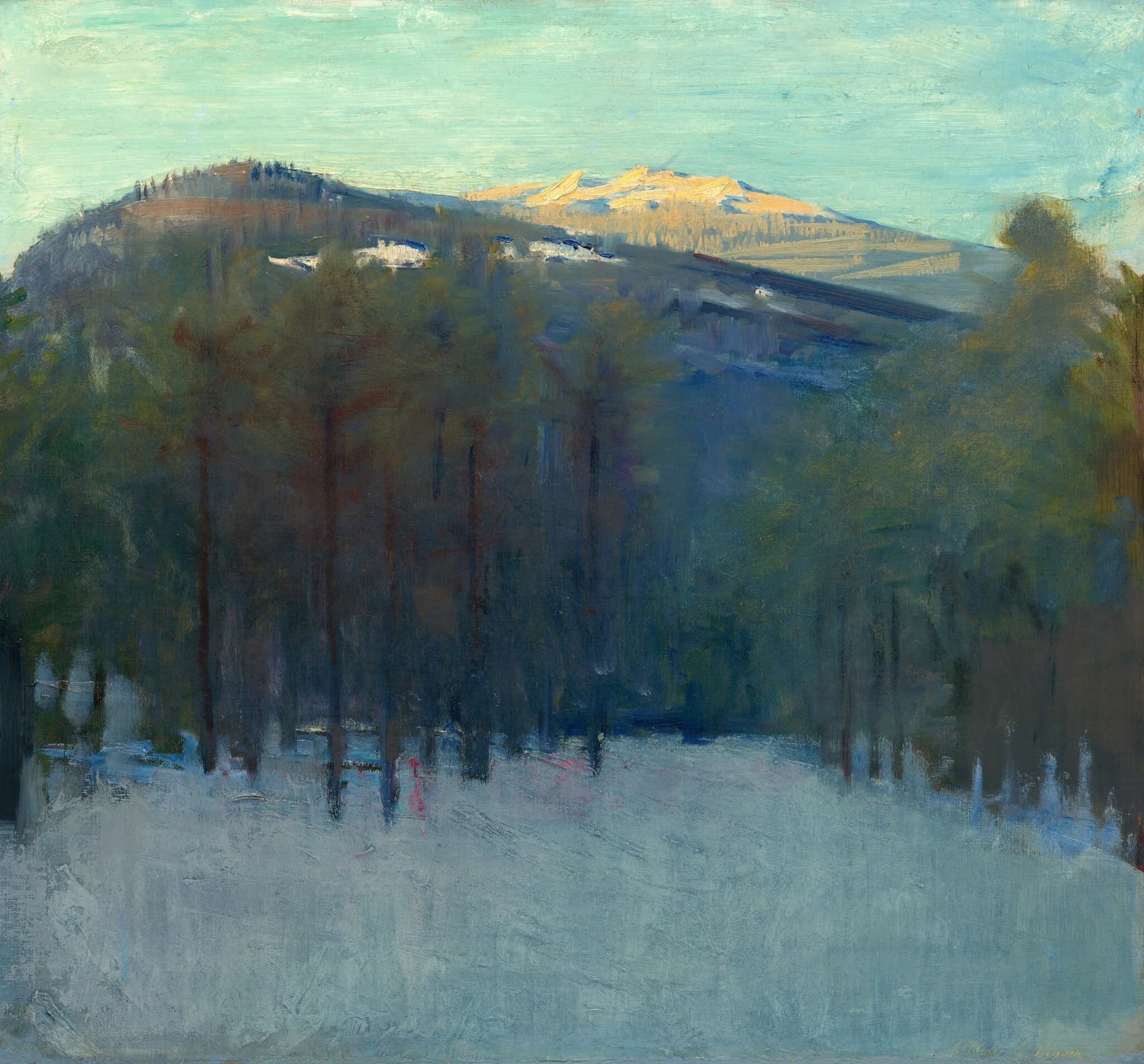Mount Monadnock, detail