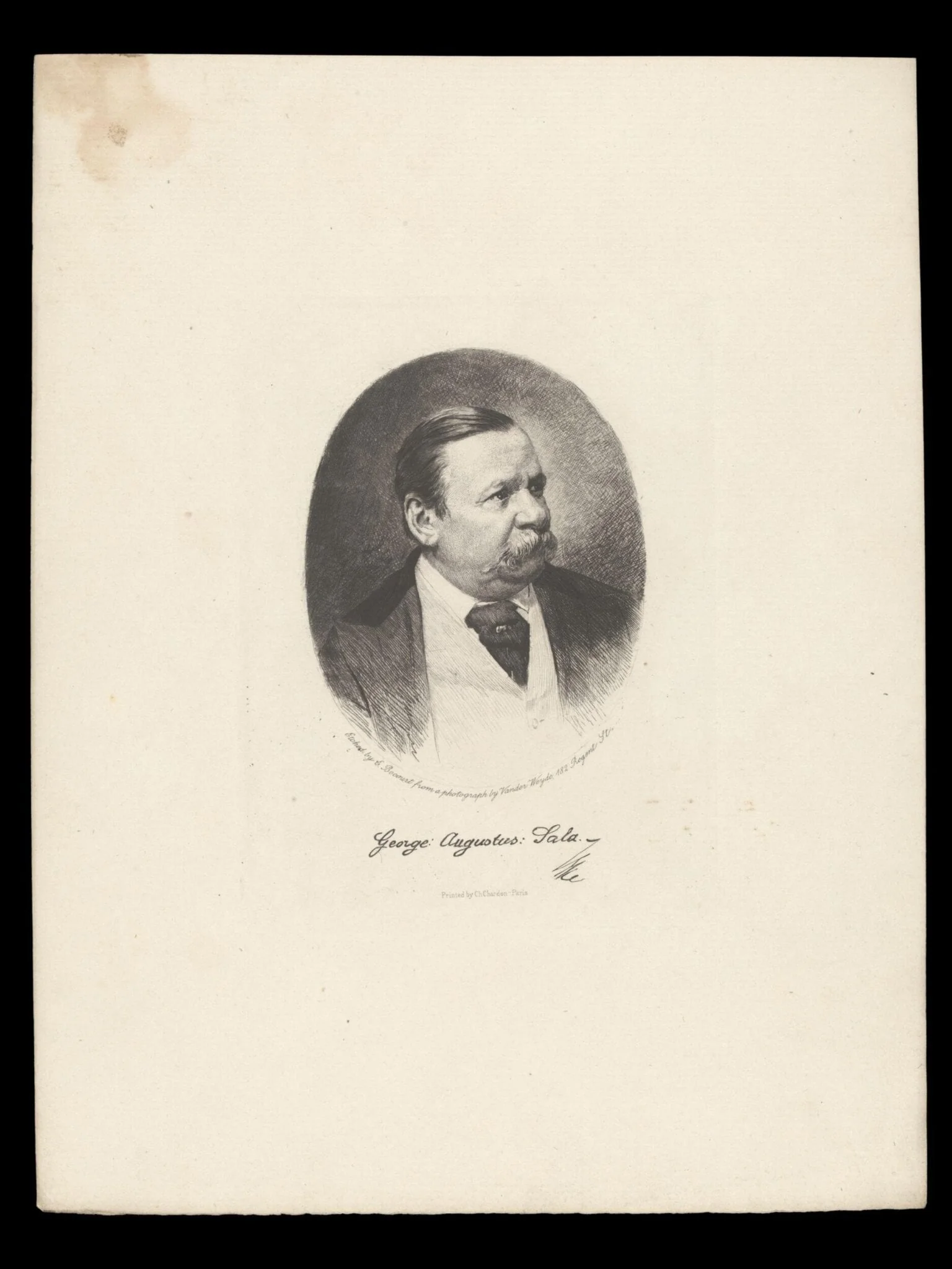 H Beard Print Collection, detail