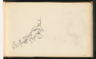 Branch in Flower, by Paul Cézanne, graphite, 1888