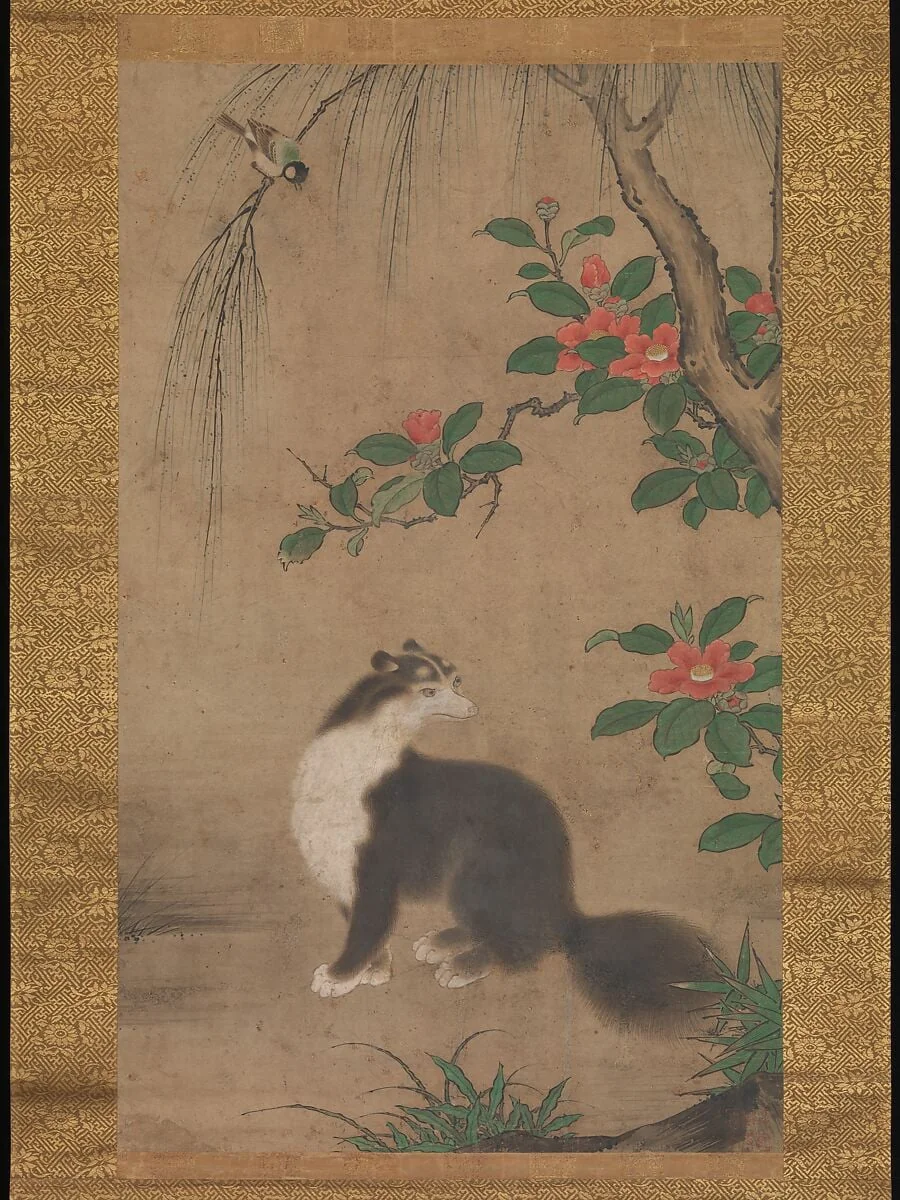 右都御史筆 麝香猫図|Musk Cat, detail