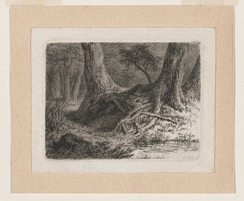 Trees with Tangled Roots, by Anton Kölbl, ink, 1779