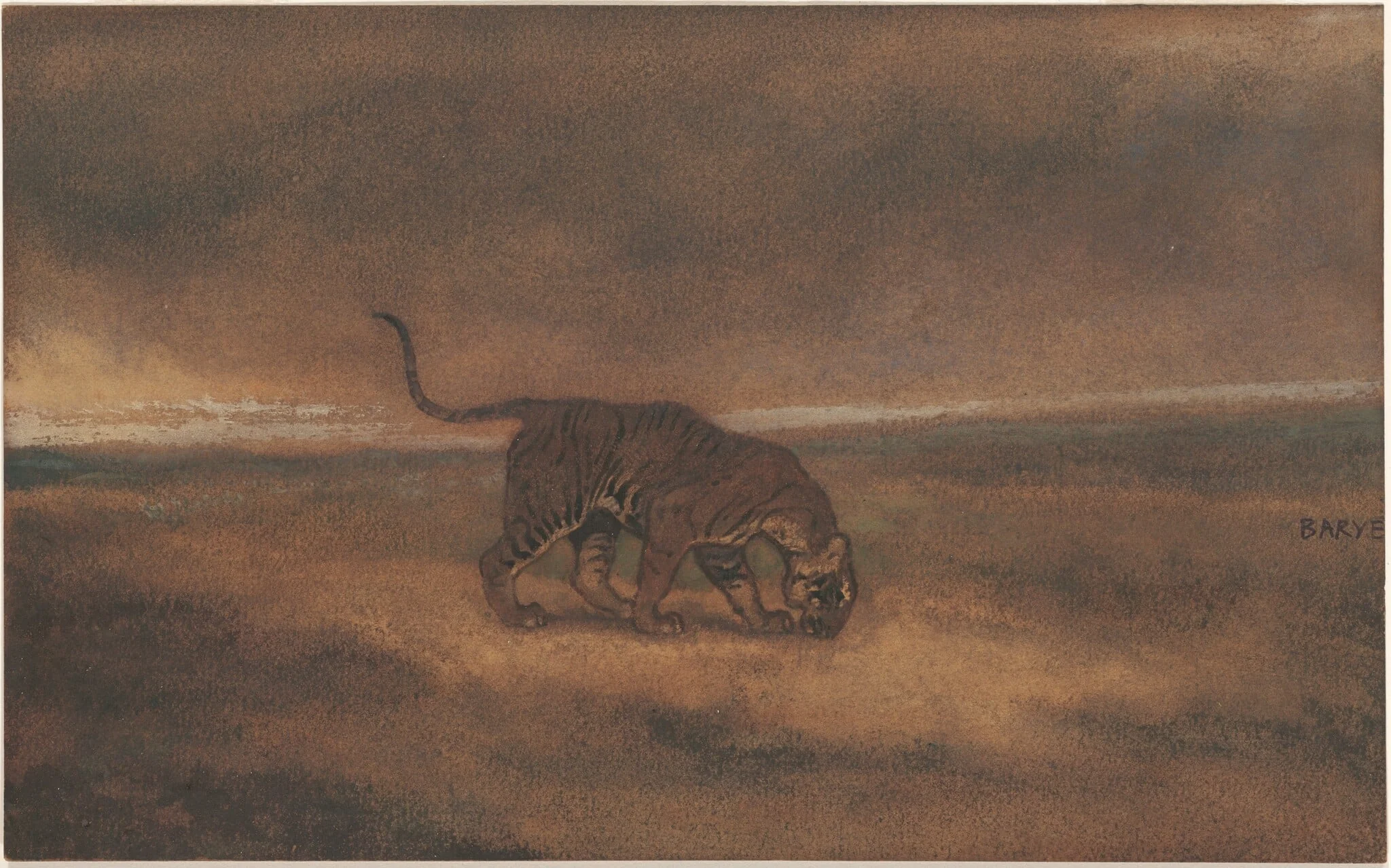 Tiger, detail