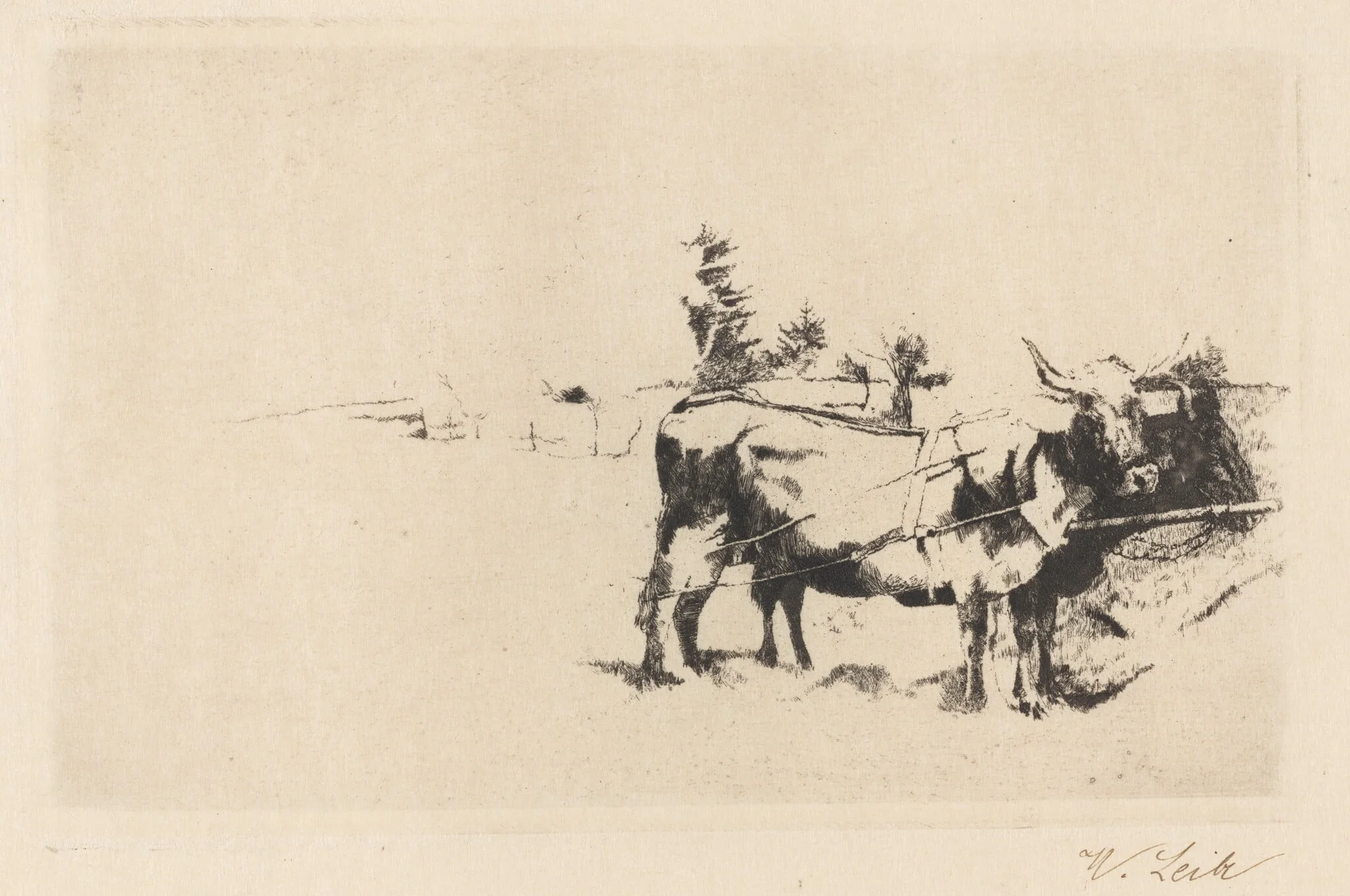 Team of Oxen in Harness, detail