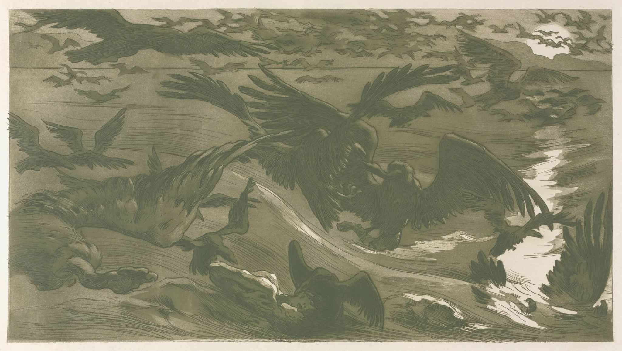 Birds of Prey, detail