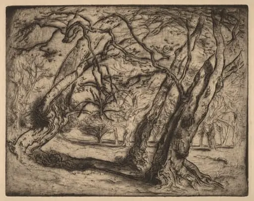 Untitled (Wooded Landscape), by Samuel Colman, ink, 1880