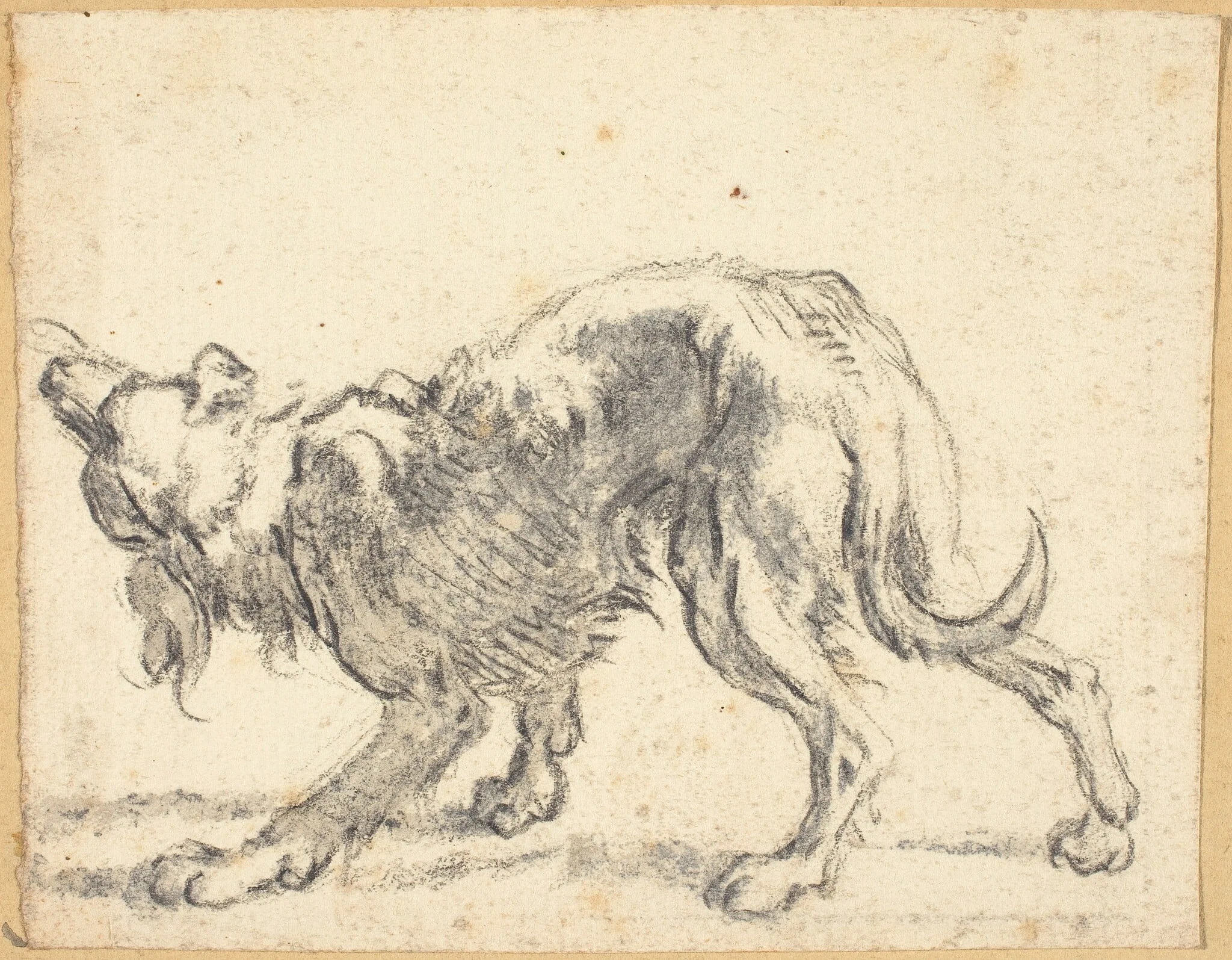 A Dog, detail