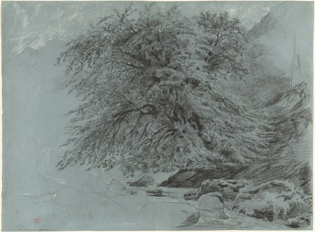 A Wild Beech in Full Leaf, by Paul Huet, chalk, 1858