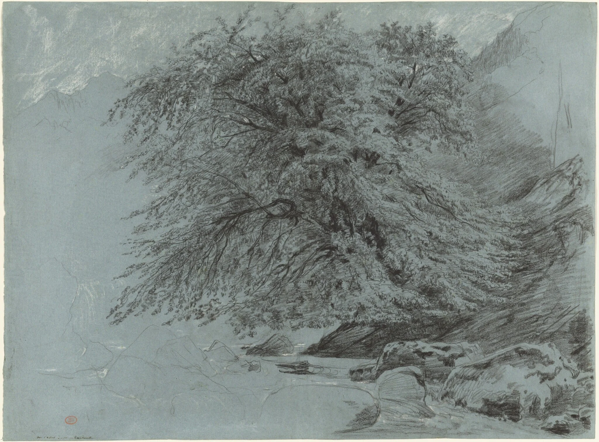 A Wild Beech in Full Leaf, detail
