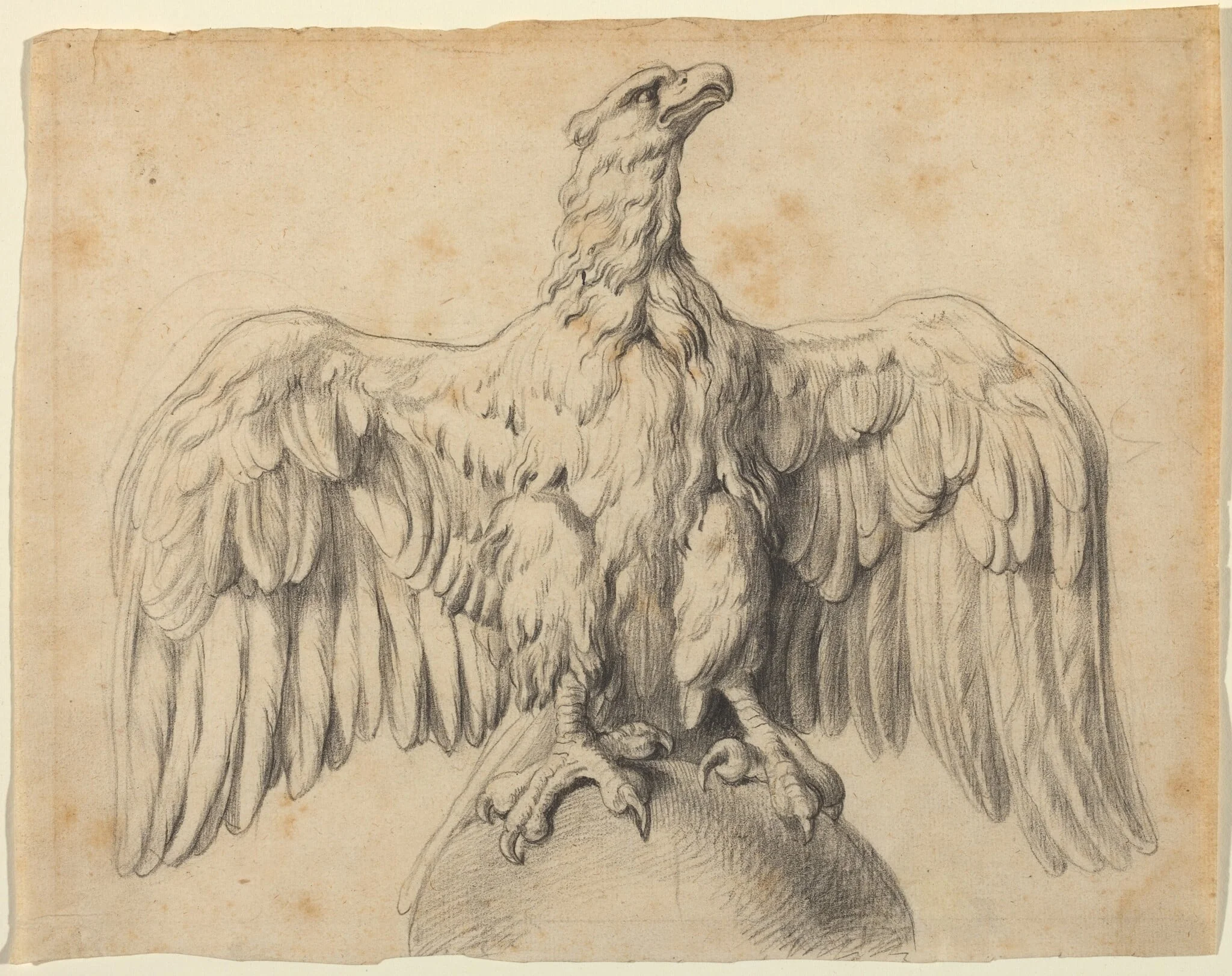 The Capitoline Eagle, detail