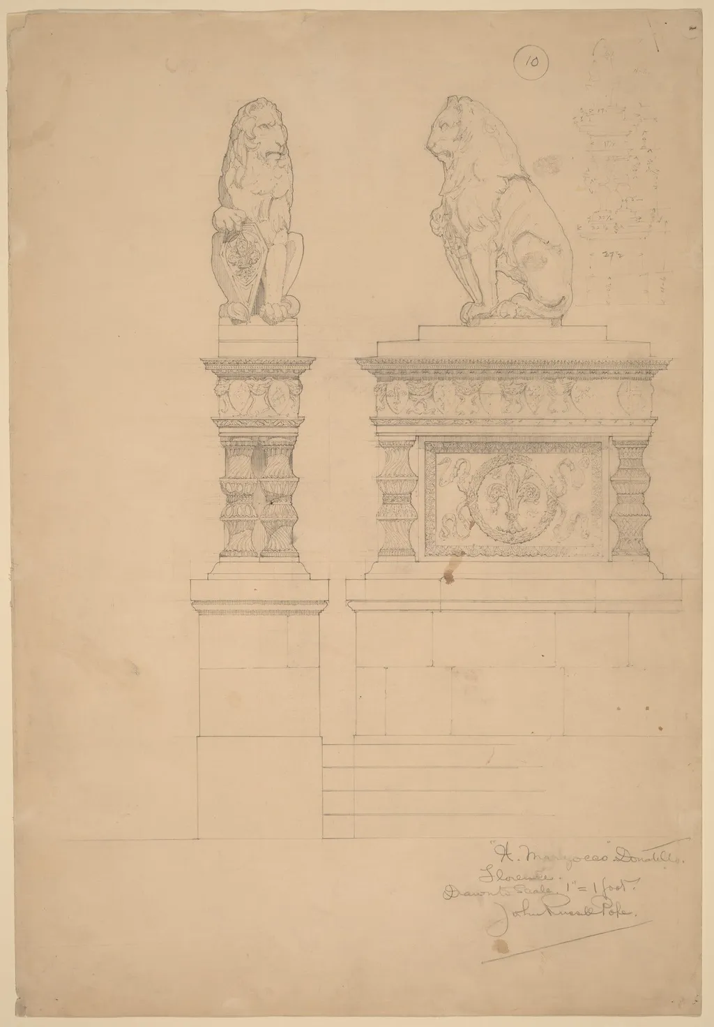 Il Marzocco, Donatello, by John Russell Pope, graphite, 1896