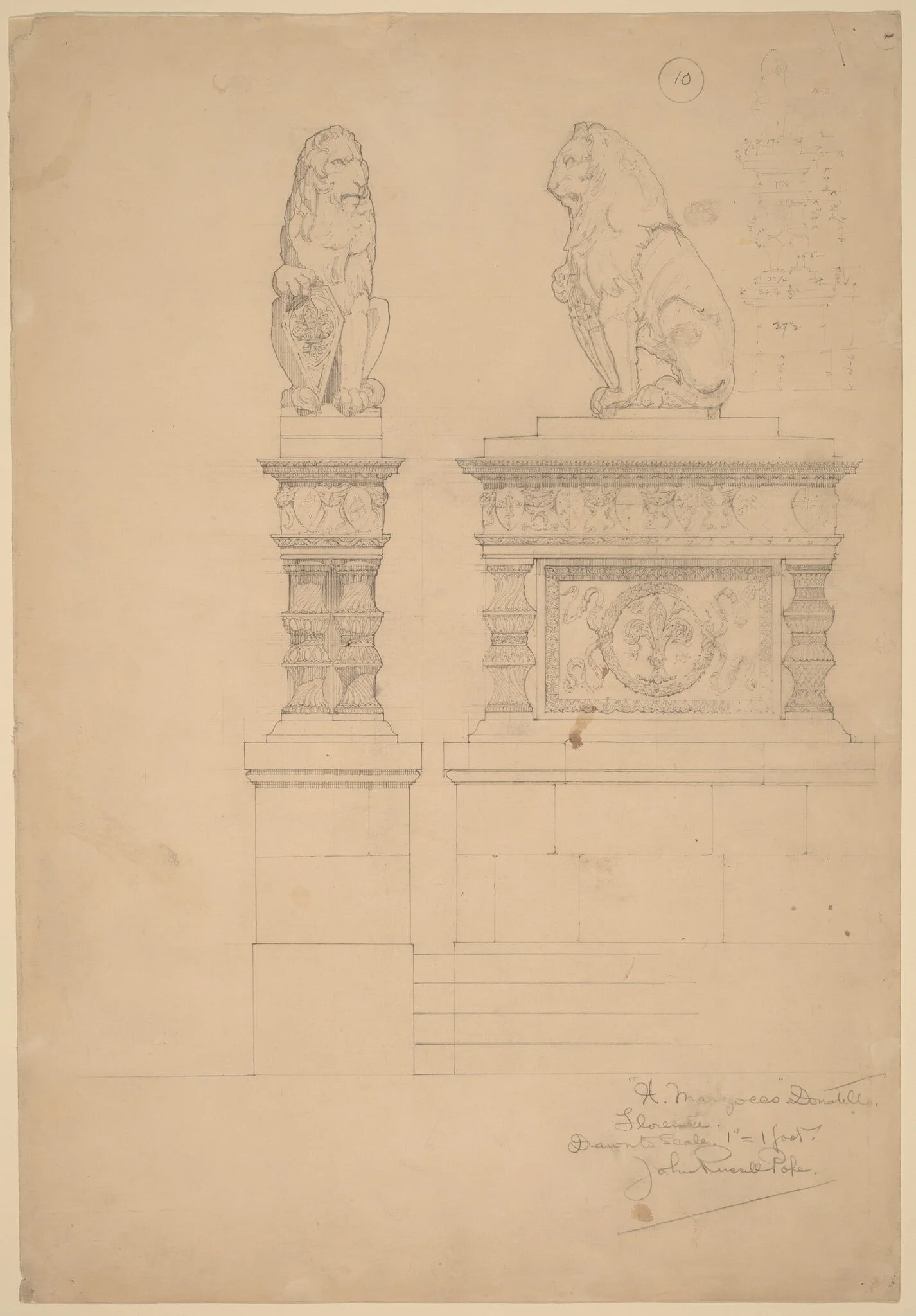 Il Marzocco, Donatello, detail