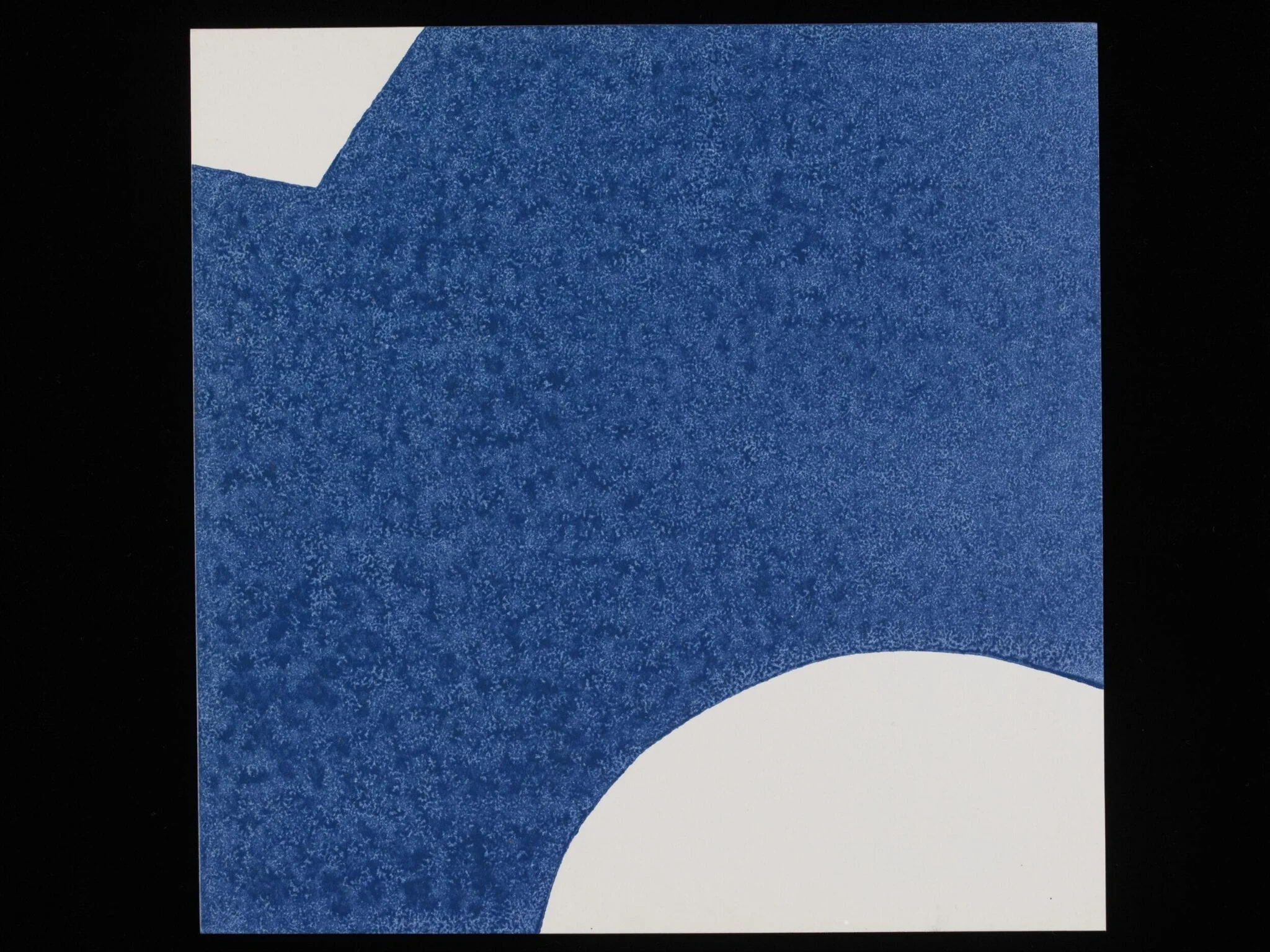 Five Flower Pieces, detail