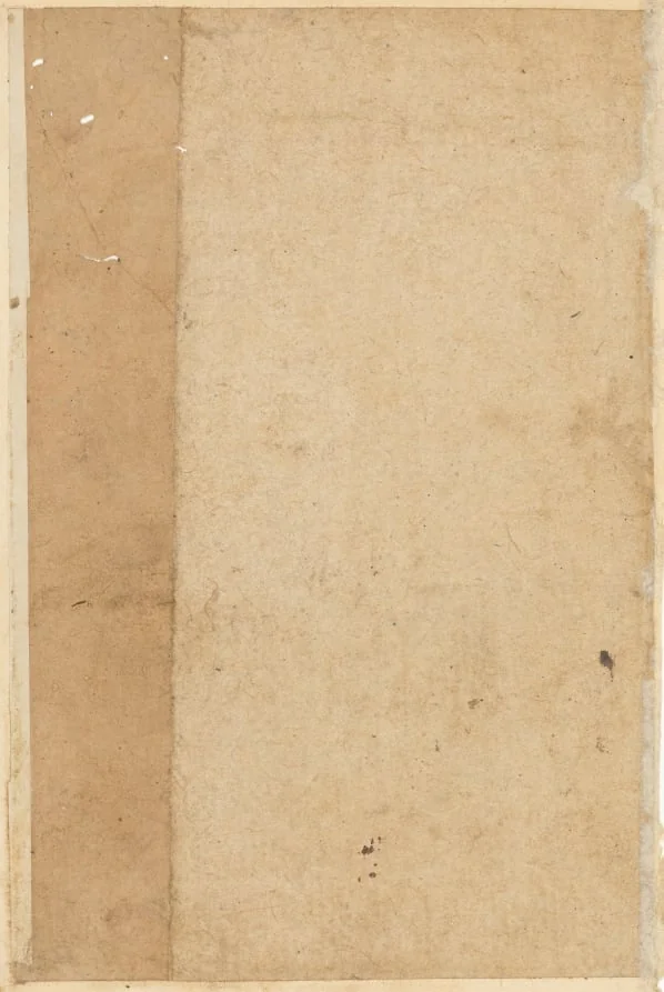 Page from Tales of a Parrot (Tuti-nama): blank page, detail