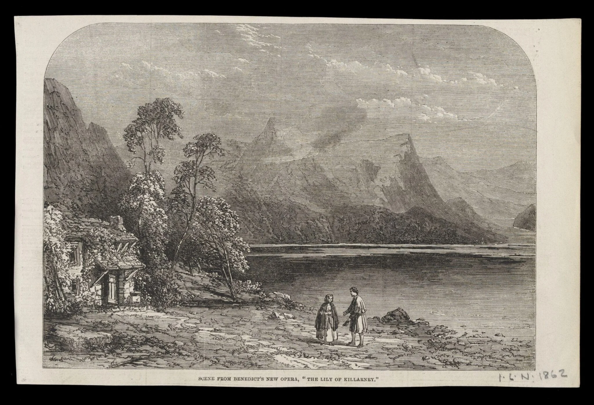 H Beard Print Collection, detail