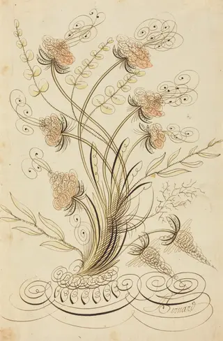 Calligraphic Flowers, by Jean-Joseph Bernard, ink, 1750