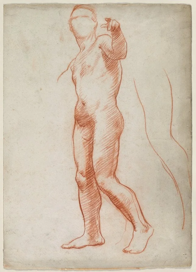 Standing Male Nude, detail