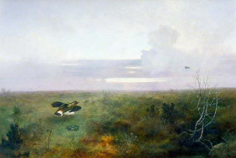 Disturbed: A Plover Rising from Its Nest, detail