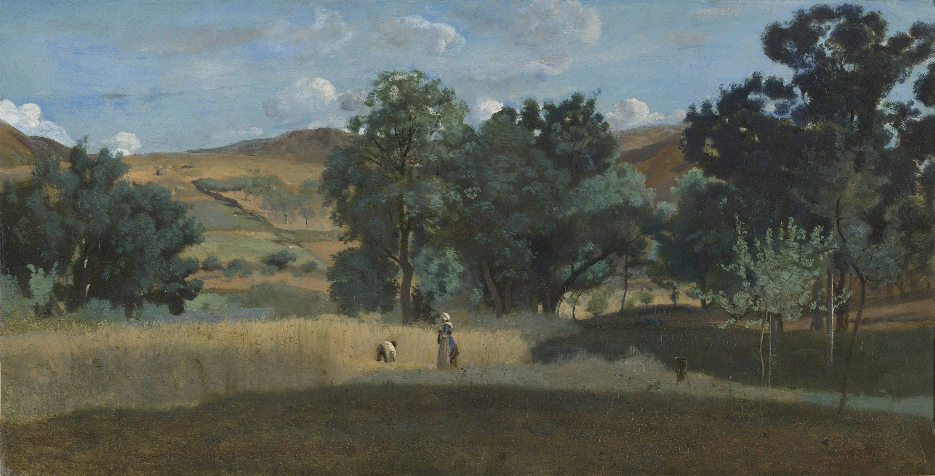 Champ de blé dans le Morvan, detail