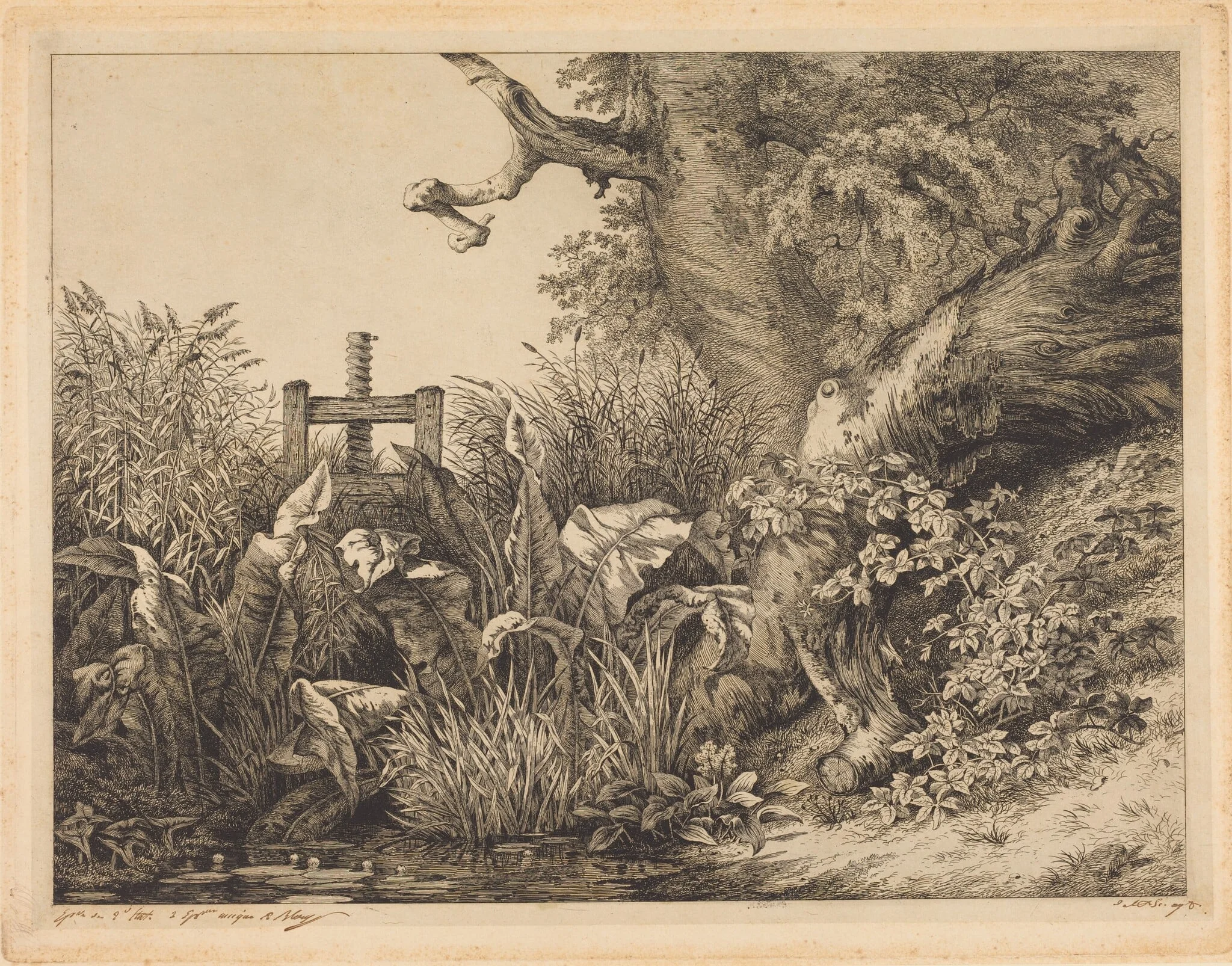 Water Dock and Brambles at a Sluice, detail