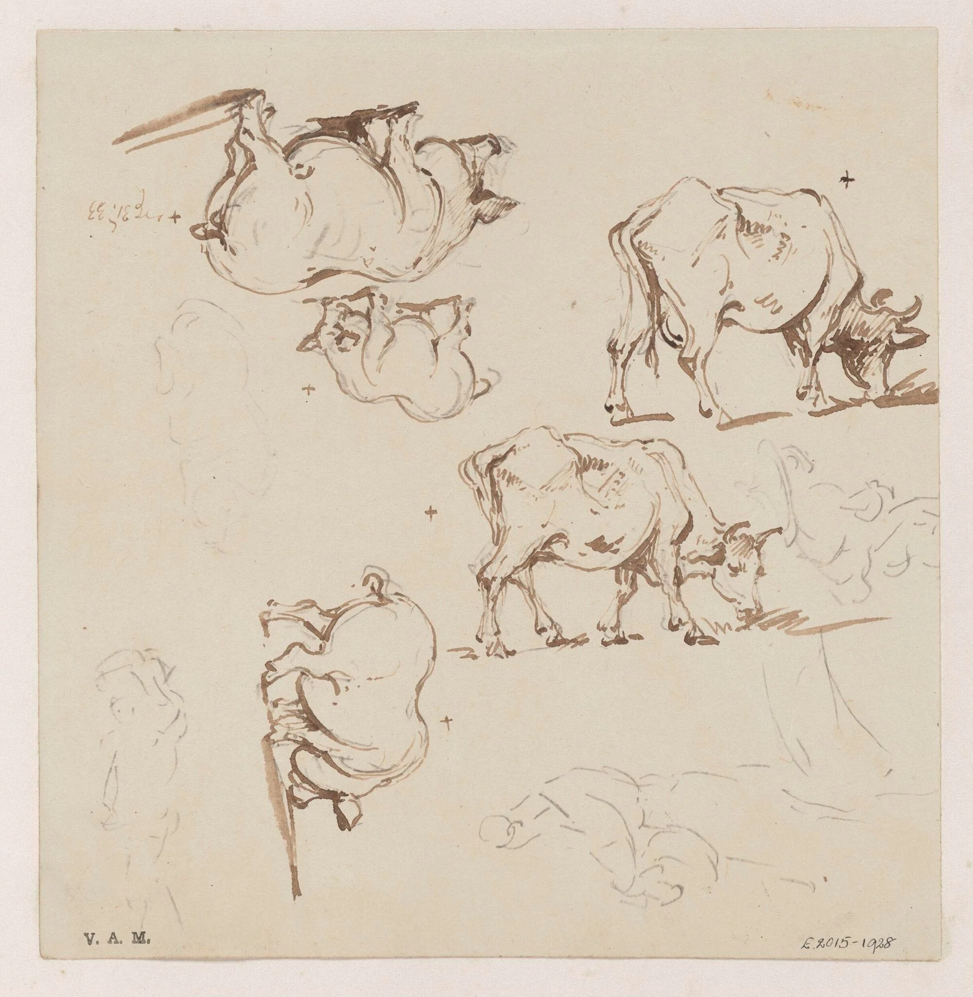 Pigs and cows, detail