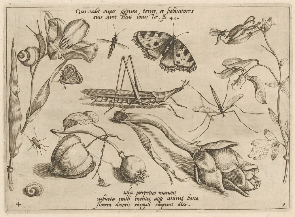Archetypa studiaque patris Georgii Hoefnagelii [Part 1, Plate 4], by Jacob Hoefnagel, ink, 1592