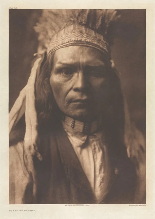 Portfolio VIII, Plate 262: Nez Percé Warrior, detail