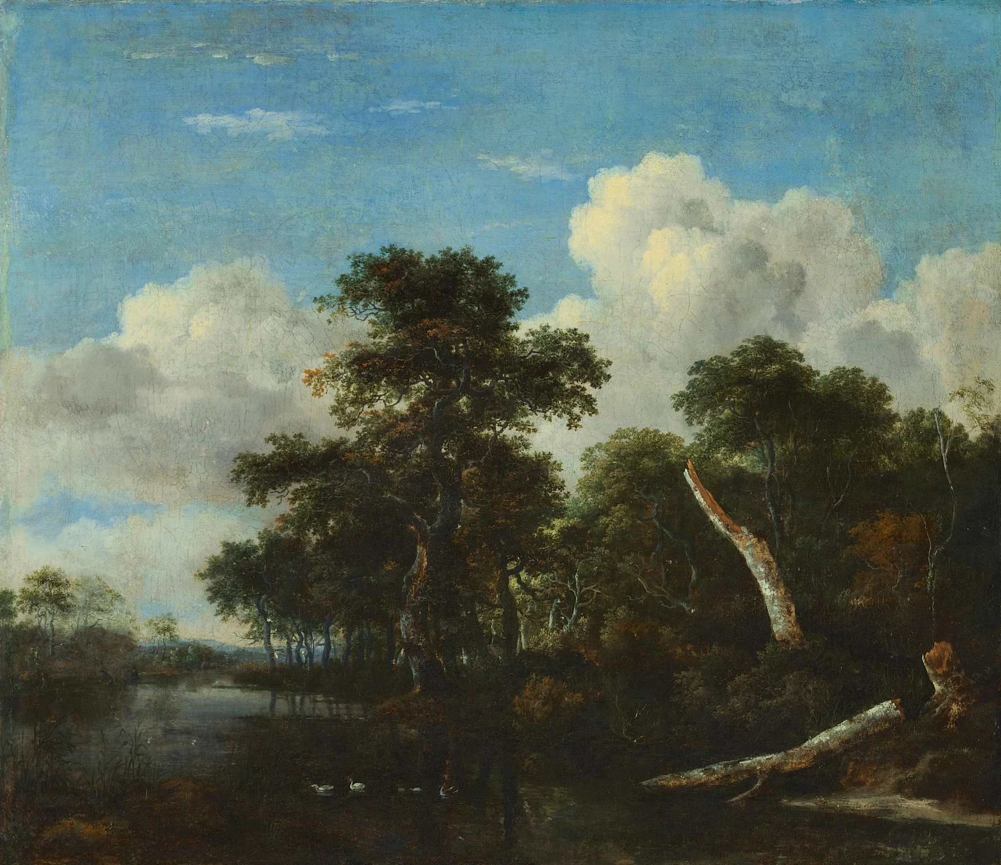 Forest thicket, detail