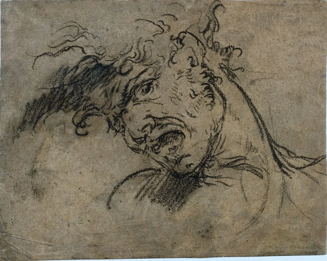Head of a Screaming Man (recto), detail