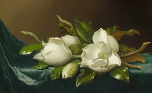 Magnolias on Light Blue Velvet Cloth, by Martin Johnson Heade, oil, 1890