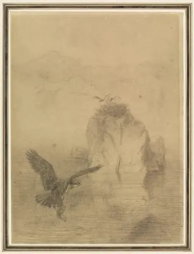 The Island Sanctuary, by Joseph Wolf, 1874
