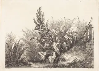 Patience d'eau, étude (Study of a Patience-Dock), by Eugène Bléry, ink, 1840