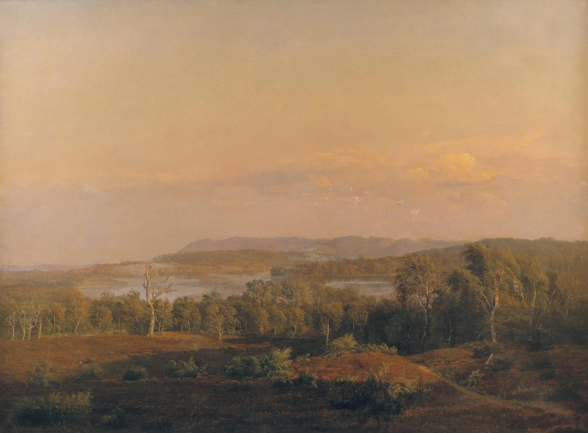 A View towards Himmelbjerget, Jutland. Evening, detail