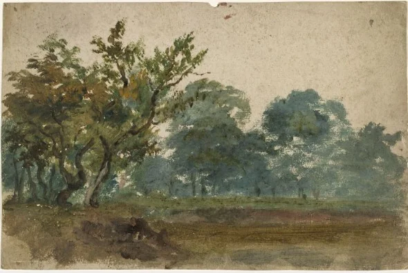 Trees in a Park, detail