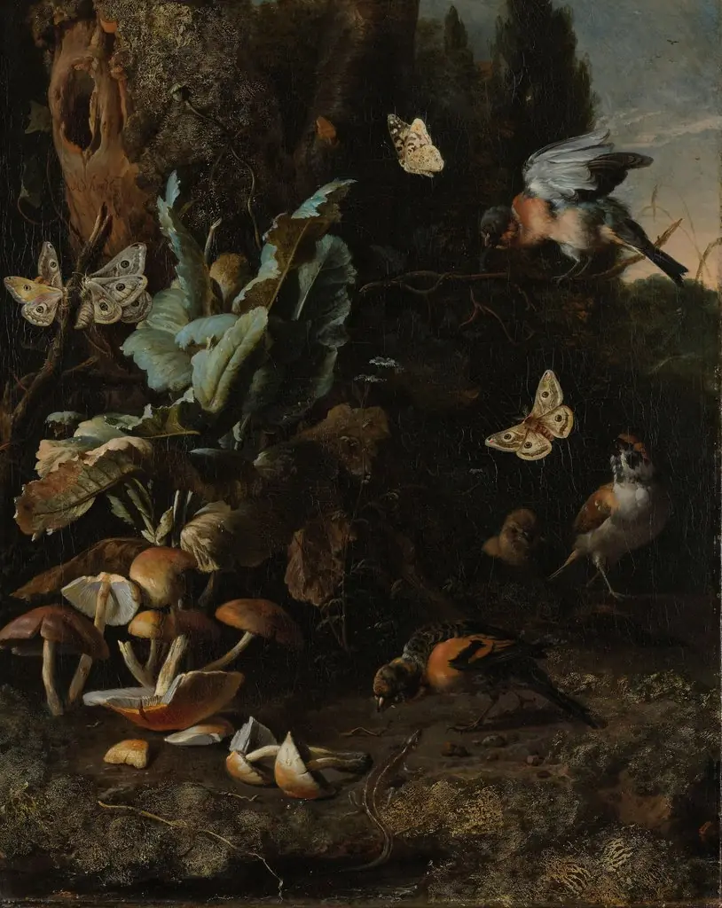 Animals and plants, by Melchior d' Hondecoeter, oil, 1668