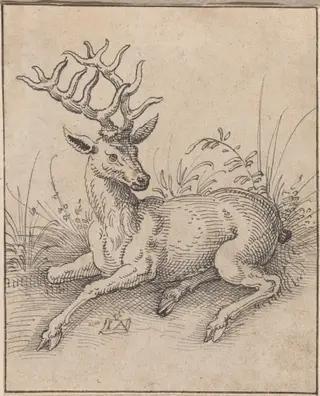 The Stag, by Jost Amman, ink, 1565