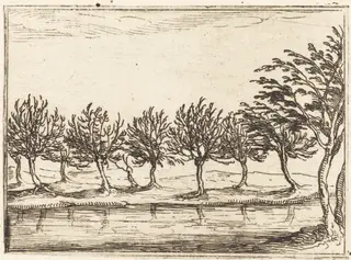 Willows by the Water's Edge, by Jacques Callot, ink, 1628